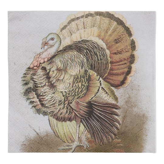 Michaels, Thanksgiving Turkey Beverage Napkins, 20ct. by Celebrate It™ – Category: Thanksgiving Party Supplies